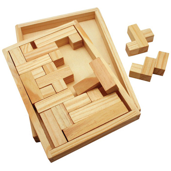Wood Shapes Challenge Puzzle