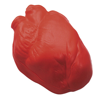 Anatomic Heart Squeezies